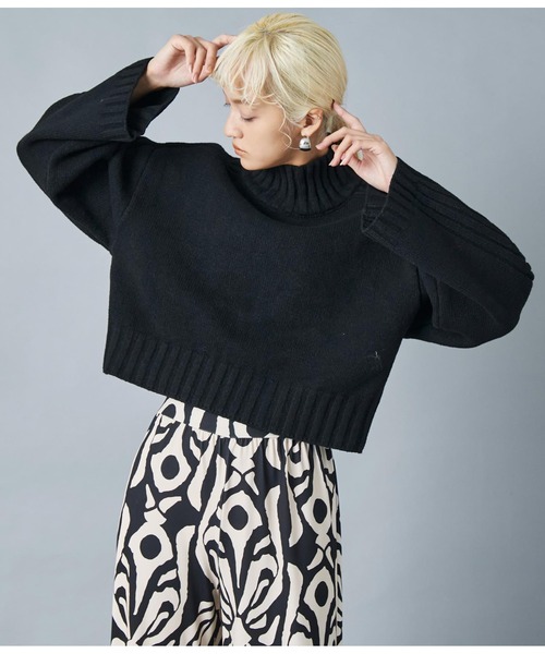 Settimissimo（セッティミッシモ）の「ハイネック ショート丈ニット プルオーバー 長袖（ニット/セーター・レディース・レッド/ブラック・FREE）」の15枚目の写真