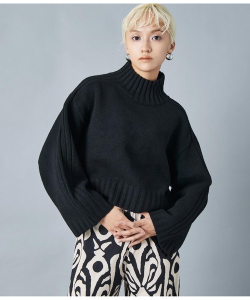 Settimissimo（セッティミッシモ）の「ハイネック ショート丈ニット プルオーバー 長袖（ニット/セーター・レディース・レッド/ブラック・FREE）」の16枚目の写真