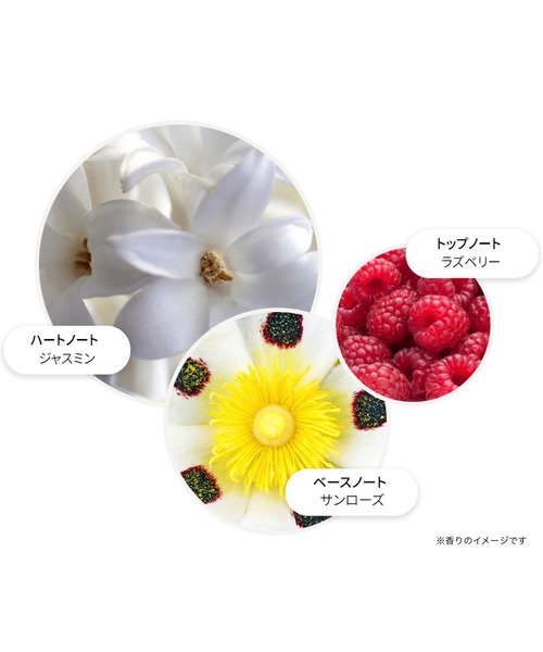 MOLTON BROWN（モルトンブラウン）の「■26廃盤）ジャスミン＆サンローズ バス＆シャワージェル 300ml｜モルトンブラウン MOLTON BROWN（石鹸/ボディソープ・レディース・フローラル・FREE）」の10枚目の写真