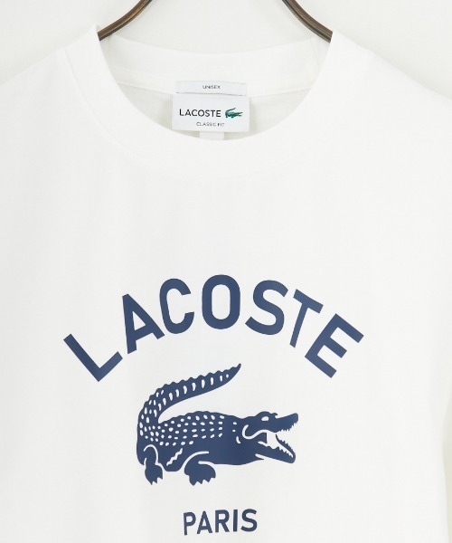 LACOSTE（ラコステ）の「[LACOSTE/ラコステ] カレッジロゴ クルーネックTシャツ（Tシャツ/カットソー・レディース・ネイビー/ホワイト・S/M/XS/L）」の7枚目の写真