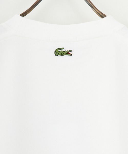 LACOSTE（ラコステ）の「[LACOSTE/ラコステ] カレッジロゴ クルーネックTシャツ（Tシャツ/カットソー・レディース・ネイビー/ホワイト・S/M/XS/L）」の4枚目の写真