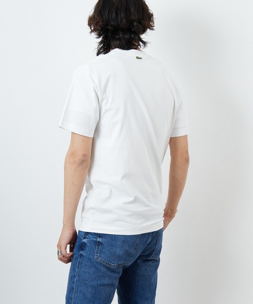 LACOSTE（ラコステ）の「[LACOSTE/ラコステ] カレッジロゴ クルーネックTシャツ（Tシャツ/カットソー・レディース・ネイビー/ホワイト・S/M/XS/L）」の18枚目の写真