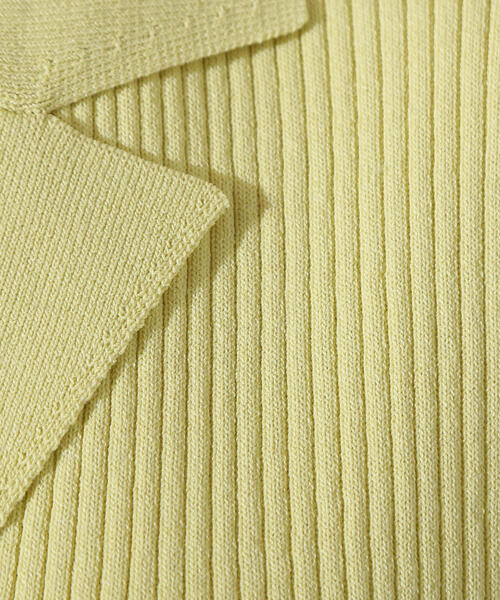 N.（N. Natural Beauty Basic）（エヌエヌナチュラルビューティーベーシック）の「ノースリーブカイキンリブニット（ポロシャツ・レディース・ダークブラウン/ライム/オフホワイト・MEDIUM）」の8枚目の写真
