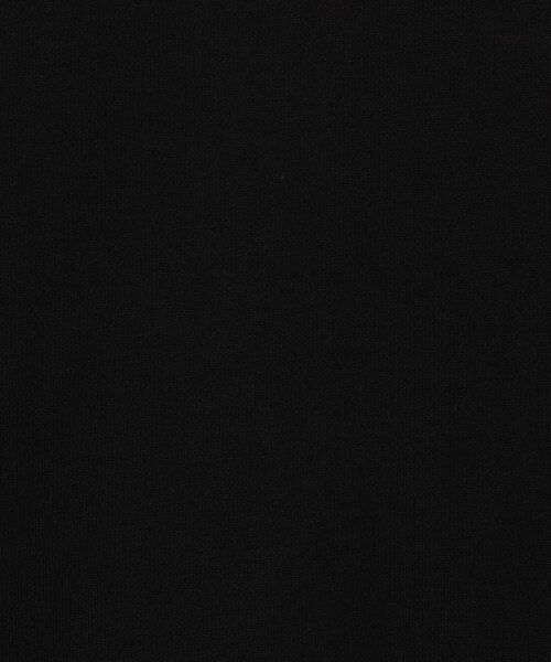 TOMORROWLAND (トゥモローランド)の「60/3スビンコットン タートルネック ロングスリーブカットソー(Tシャツ/カットソー・メンズ・ホワイト/ライトブラウン/チャコールグレー/ブルー・M/S/L)」の14枚目の写真