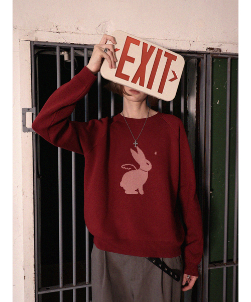 REHEAT(リヒート)の「ラビットエンジェルニット_レッド(ニット/セーター・レディース・その他・FREE)」の4枚目の写真