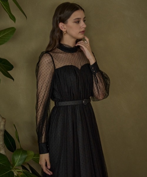ERADIE（エラディエ）の「Flocked Tulle Lace Dress  ドット刺繍レースドレス（ワンピース・レディース・ライトベージュ/ブラック・FREE）」の8枚目の写真