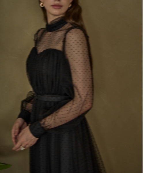 ERADIE（エラディエ）の「Flocked Tulle Lace Dress  ドット刺繍レースドレス（ワンピース・レディース・ライトベージュ/ブラック・FREE）」の11枚目の写真