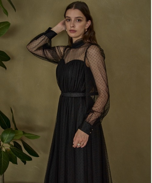 ERADIE（エラディエ）の「Flocked Tulle Lace Dress  ドット刺繍レースドレス（ワンピース・レディース・ライトベージュ/ブラック・FREE）」の5枚目の写真