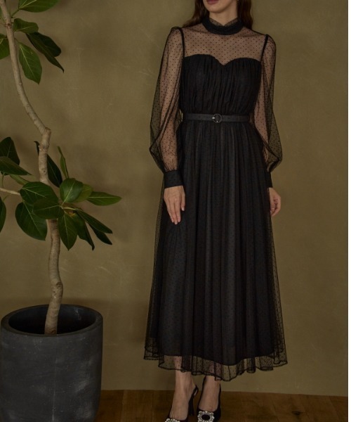 ERADIE（エラディエ）の「Flocked Tulle Lace Dress  ドット刺繍レースドレス（ワンピース・レディース・ライトベージュ/ブラック・FREE）」の9枚目の写真