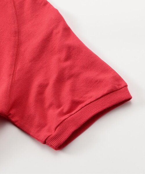 BREEZE（ブリーズ）の「【WEB限定】KUDOZ.B ラグランカレッジ半袖スウェット（Tシャツ/カットソー・キッズ・レッド/ブルー・90/100/110/120/130/140/150/160）」の5枚目の写真