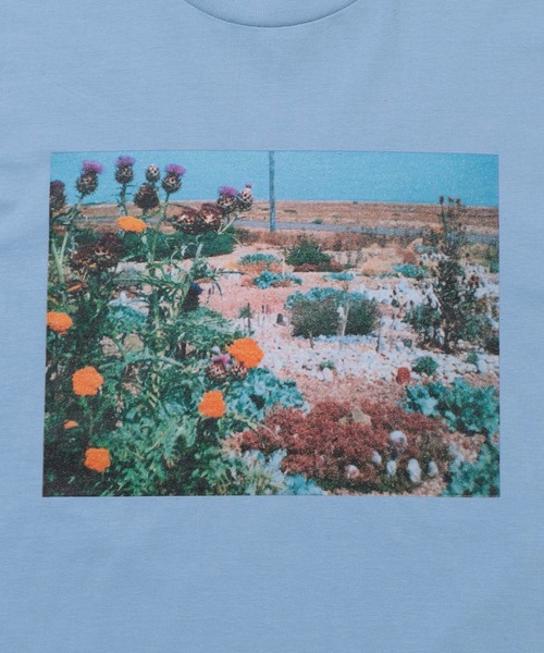 Bonjour Girl（ボンジュールガール）の「Derek Jarman Garden /Garden Tシャツ（Tシャツ/カットソー・レディース・ホワイト/ライトブルー・S/L/M）」の4枚目の写真
