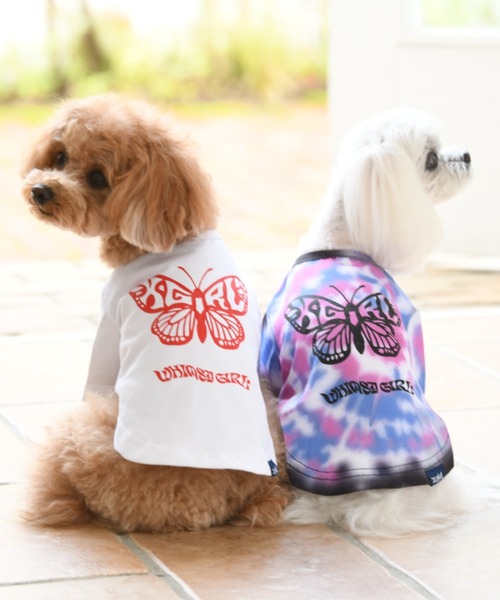 女の子用 わんちゃん服 XS～Sサイズ 7着 楽天市場】【10％OFF】犬 服 犬服 かわいい ドッグウェア サイズ