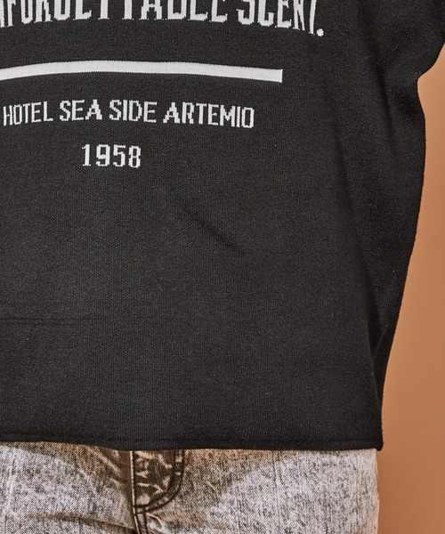 ADAM ET ROPE'(アダムエロペ)の「【ARTEMIO directed by SKIN】ジャカードニットプルオーバー(ニット/セーター・レディース・ブラック/グレー・FREE)」の12枚目の写真