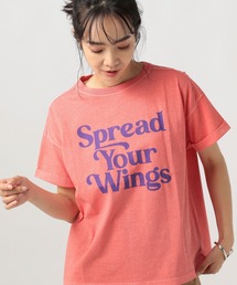 ピグメントロゴＴ