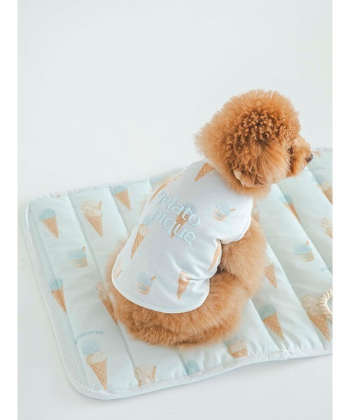 gelato pique（ジェラートピケ）の「【CAT&DOG】【販路限定商品】アイス柄COOLマット（ペット用クッション/マット・レディース・ブルー/ピンク・FREE）」の5枚目の写真