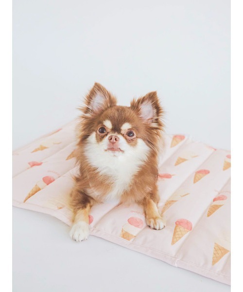 gelato pique（ジェラートピケ）の「【CAT&DOG】【販路限定商品