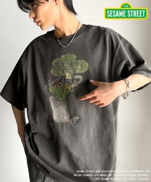 classicalelf(�N���V�J���G���t)�̑�l�J�W���A���Ƀn�}��B��100���Z�T�~�L�����s�O�����g���H�r�b�OT�V���c(T�V���c/�J�b�g�\�[)