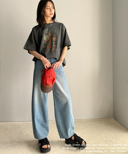classicalelf(クラシカルエルフ)の「大人カジュアルにハマる。綿100%セサミキャラピグメント加工ビッグTシャツ(Tシャツ/カットソー・レディース・C/B/A・X-LARGE/SMALL/MEDIUM/LARGE)」の16枚目の写真