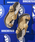BIRKENSTOCK�i�r���P���V���g�b�N�j�́uBIRKENSTOCK / �r���P���V���g�b�N �ʒ� Byblos �T���_���i�T���_���j�v�b�x�[�W��