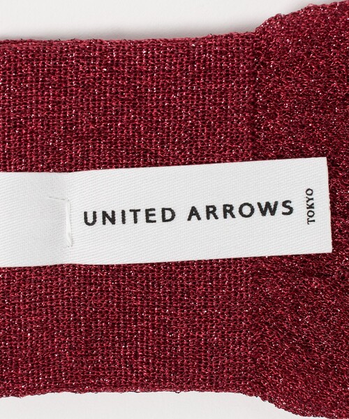 UNITED ARROWS(ユナイテッドアローズ)の「シアー グリッター ソックス(ソックス/靴下・レディース・ネイビー/その他1/レッド/ベージュ/ブラック・FREE)」の6枚目の写真