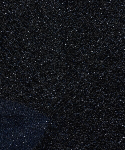 UNITED ARROWS(ユナイテッドアローズ)の「シアー グリッター ソックス(ソックス/靴下・レディース・ネイビー/その他1/レッド/ベージュ/ブラック・FREE)」の7枚目の写真