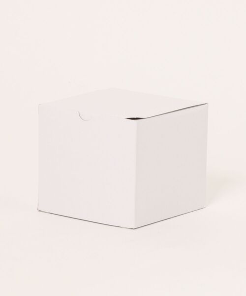 SKAGEN(スカーゲン)の「スカーゲン 腕時計 レディース アナログ ステンレス SKW1157SET(アナログ腕時計・レディース・シルバー・FREE)」の12枚目の写真