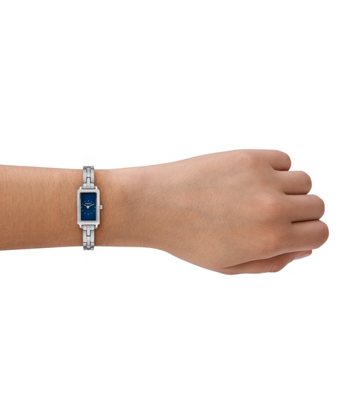 SKAGEN(スカーゲン)の「スカーゲン 腕時計 レディース アナログ ステンレス SKW1157SET(アナログ腕時計・レディース・シルバー・FREE)」の2枚目の写真