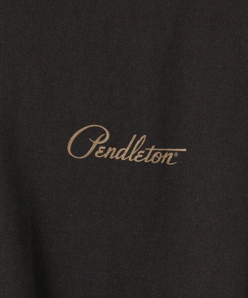 PENDLETON(ペンドルトン)の「【PENDLETON/ペンドルトン】Back Print Tee ビッグシルエット Tシャツ(Tシャツ/カットソー・メンズ・オフホワイト/ベージュ/ターコイズブルー/ライトパープル/チャコールグレー/ブラック・M/L)」の16枚目の写真