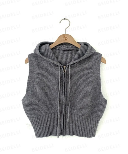 【値下げ】BLITE ベストパーカー 袖なし グレー 値下げ】BLITE ベストパーカー 袖なし グレー Amazon | [ZXCP