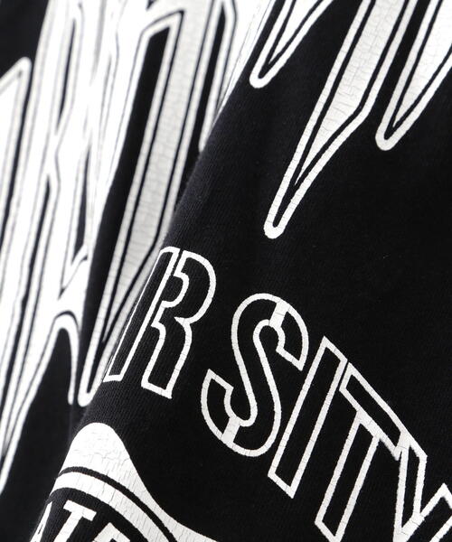 DANKE SCHON(ダンケシェーン)の「【WEB&DEPOT限定】DankeSchon/ダンケシェーン/SUBHUMAN LST/グラフィック ロンT(Tシャツ/カットソー・レディース・ブラック/グレー/ホワイト・L/M/S)」の13枚目の写真