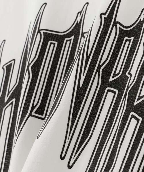 DANKE SCHON(ダンケシェーン)の「【WEB&DEPOT限定】DankeSchon/ダンケシェーン/SUBHUMAN LST/グラフィック ロンT(Tシャツ/カットソー・レディース・ブラック/グレー/ホワイト・L/M/S)」の5枚目の写真