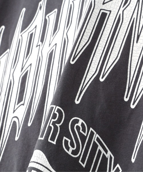 DANKE SCHON(ダンケシェーン)の「【WEB&DEPOT限定】DankeSchon/ダンケシェーン/SUBHUMAN LST/グラフィック ロンT(Tシャツ/カットソー・レディース・ブラック/グレー/ホワイト・L/M/S)」の19枚目の写真