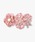 ANNA SUI�i�A�i�X�C�j�́u���d�����`�[�t �u���[�`�i�u���[�`/�R�T�[�W���j�v�b�s���N