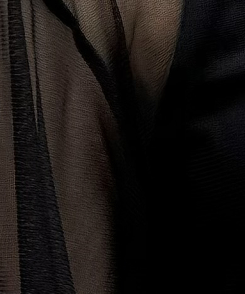 NOMINE（ノミネ）の「チュールTシャツ（Tシャツ/カットソー・レディース・ブルー系その他/アイボリー/ブラック系その他2/ブラック系その他・フリー）」の14枚目の写真