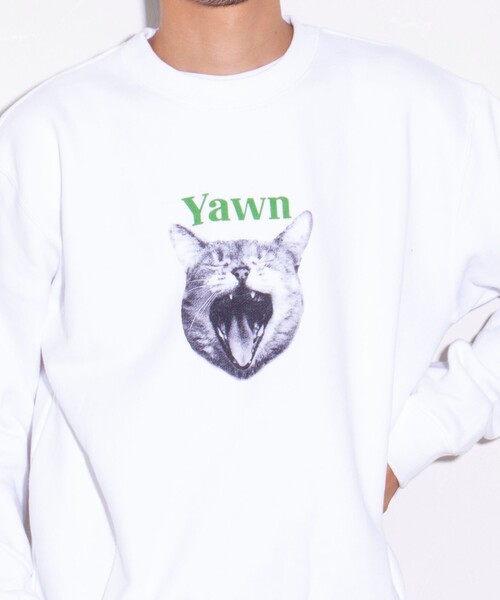 GLOSTER（グロスター）の「【新柄追加】【GLOSTER/グロスター】DOG&CAT 犬猫プリント クルーネックスウェット（スウェット・メンズ・ホワイト系その他2/グレー系その他/グレー系その他2/グレー系その他3/グレー系その他4/ホワイト系その他・S/M/L）」の18枚目の写真