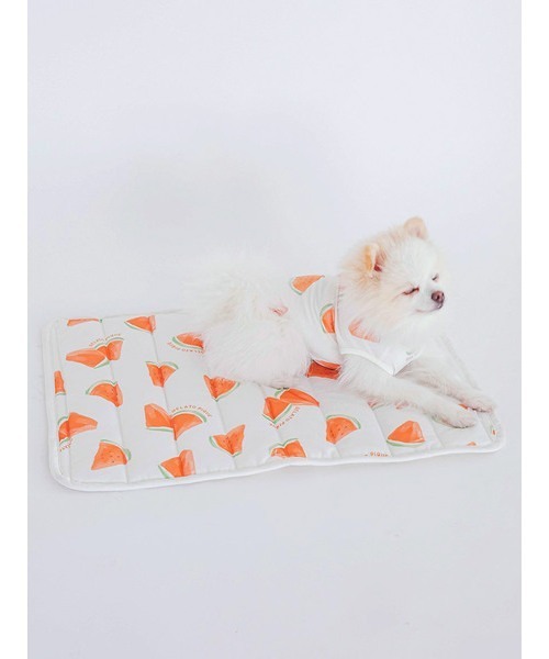 gelato pique（ジェラートピケ）の「【CAT&DOG】【販路限定商品】すいか柄COOLマット（ペット用クッション/マット・レディース・オフホワイト・FREE）」の2枚目の写真