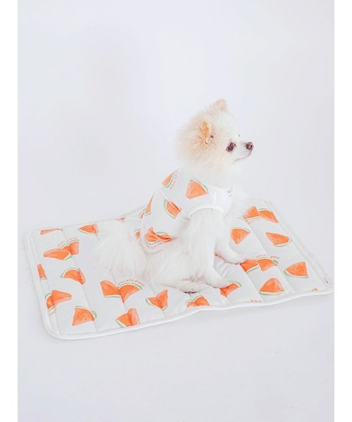 gelato pique（ジェラートピケ）の「【CAT&DOG】【販路限定商品】すいか柄COOLマット（ペット用クッション/マット・レディース・オフホワイト・FREE）」の3枚目の写真