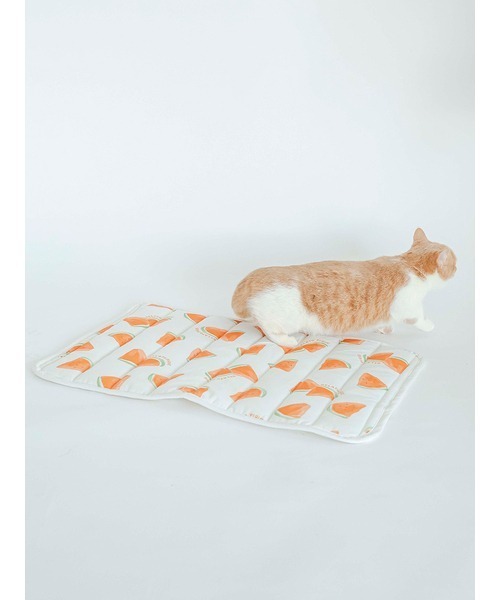 gelato pique（ジェラートピケ）の「【CAT&DOG】【販路限定商品】すいか柄COOLマット（ペット用クッション/マット・レディース・オフホワイト・FREE）」の4枚目の写真