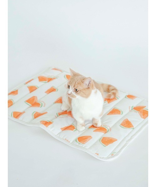 gelato pique（ジェラートピケ）の「【CAT&DOG】【販路限定商品】すいか柄COOLマット（ペット用クッション/マット・レディース・オフホワイト・FREE）」の5枚目の写真