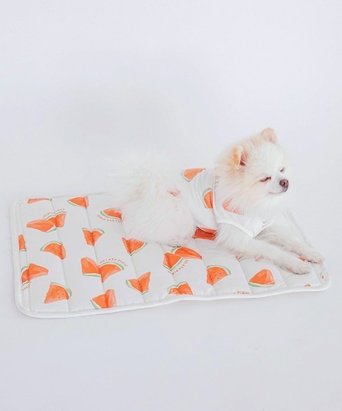 gelato pique（ジェラートピケ）の「【CAT&DOG】【販路限定商品】すいか柄COOLマット（ペット用クッション/マット・レディース・オフホワイト・FREE）」の10枚目の写真