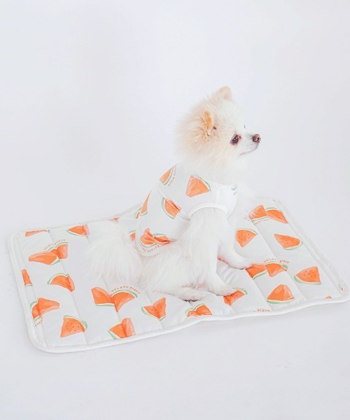 gelato pique（ジェラートピケ）の「【CAT&DOG】【販路限定商品】すいか柄COOLマット（ペット用クッション/マット・レディース・オフホワイト・FREE）」の11枚目の写真