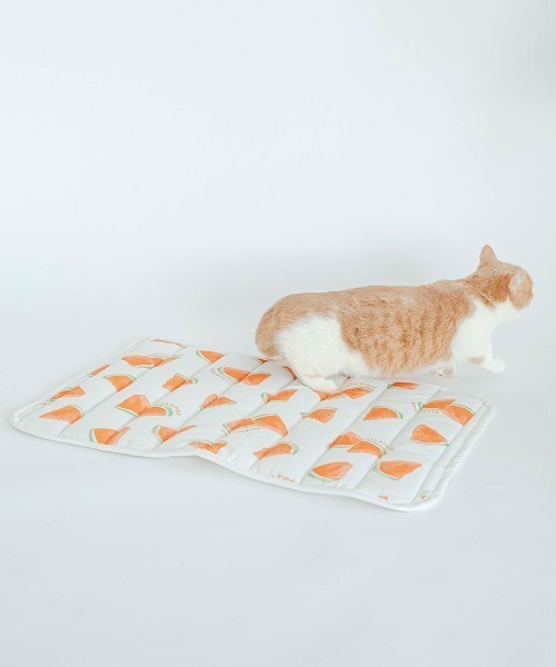 gelato pique（ジェラートピケ）の「【CAT&DOG】【販路限定商品】すいか柄COOLマット（ペット用クッション/マット・レディース・オフホワイト・FREE）」の12枚目の写真