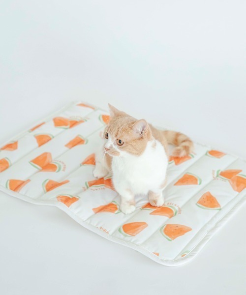 gelato pique（ジェラートピケ）の「【CAT&DOG】【販路限定商品】すいか柄COOLマット（ペット用クッション/マット・レディース・オフホワイト・FREE）」の13枚目の写真