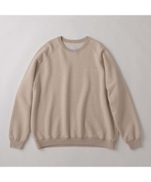 S.F.C SFC RAGLAN CREW SFCFW23CS03
