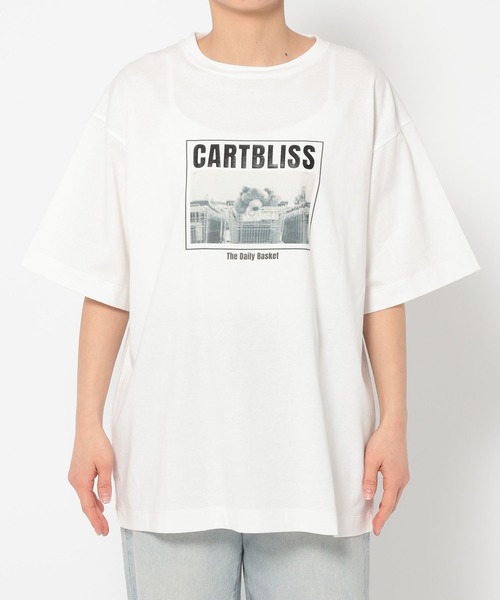 セール】アソートフォトTシャツ 324656（Tシャツ/カットソー