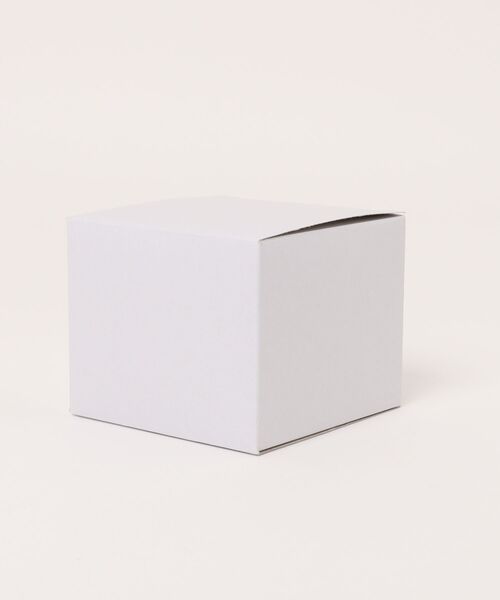 SKAGEN(スカーゲン)の「スカーゲン 腕時計 レディース アナログ ステンレス SKW3163(アナログ腕時計・レディース・シルバー・FREE)」の10枚目の写真