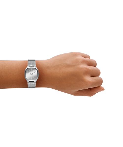 SKAGEN(スカーゲン)の「スカーゲン 腕時計 レディース アナログ ステンレス SKW3163(アナログ腕時計・レディース・シルバー・FREE)」の2枚目の写真