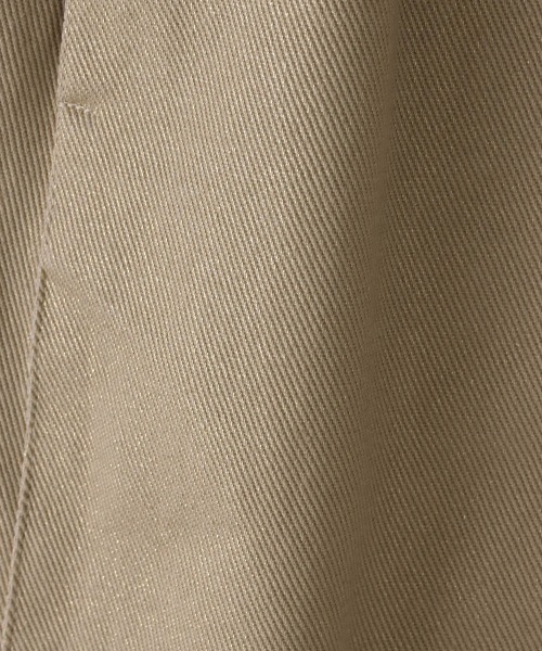 Viaggio Blu（ビアッジョブルー）の「ラメタイトスカート≪手洗い可能≫（スカート・レディース・チャコールグレー/ベージュ・S/M）」の18枚目の写真