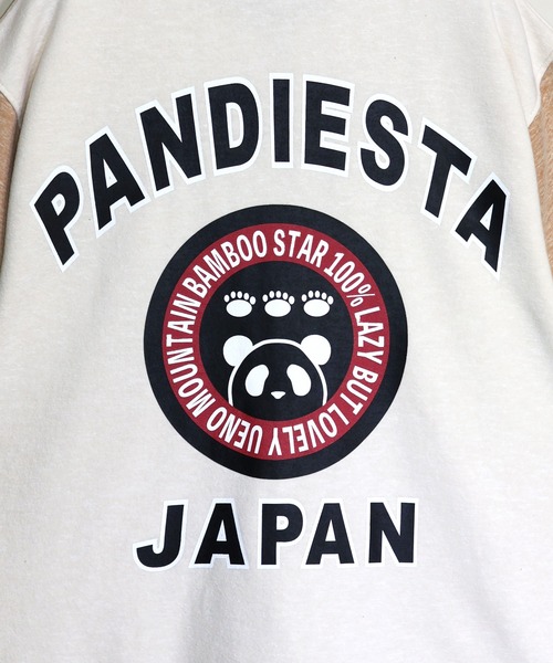 PANDIESTA(パンディエスタ)の「ミリタリー切替ZIPパーカー(M2)(パーカー・メンズ・アイボリー/ブラック・M/L/XL/XXL)」の12枚目の写真