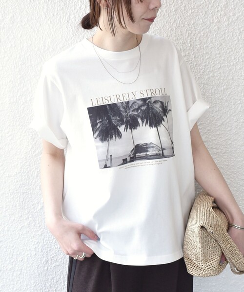 SHIPS Colors:〈接触冷感・UVカット・洗濯機可能〉PALM フォト TEE